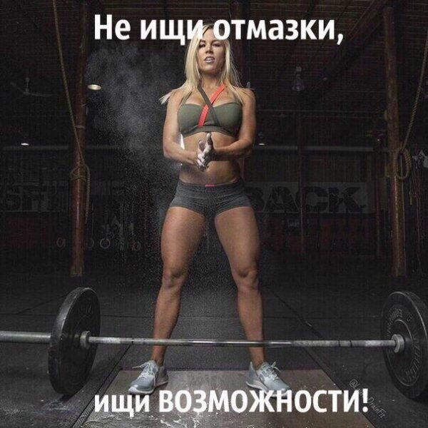 zIZfaS9ullY