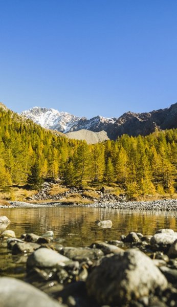 Screenshot 20260203-130659 One UI Home