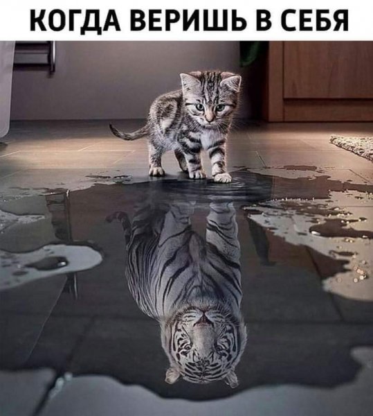 FB IMG 1624763454022
