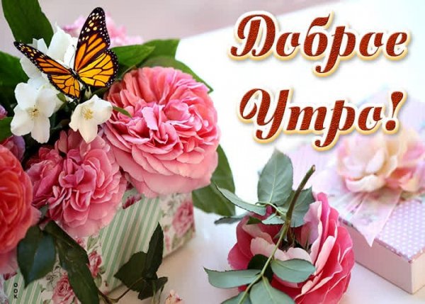 IMG-20210519-WA0002