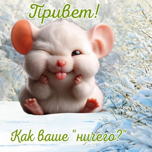 44c9fd59f824701cf291f25481374569