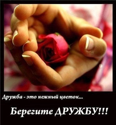 Берегите дружбу