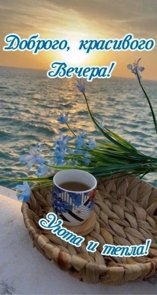 picture_386202391