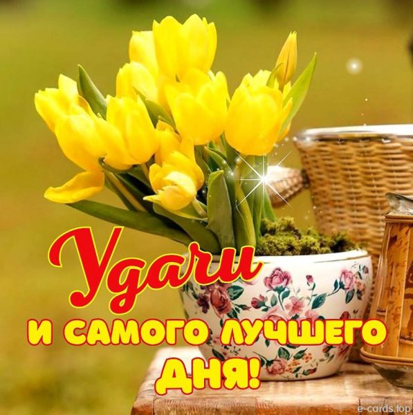 QmSh EjMDl0