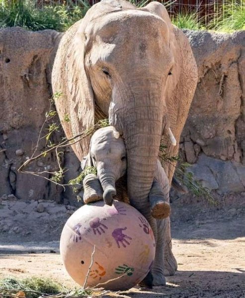 8fa1db8f79d0da197e8c3f9310a443e3