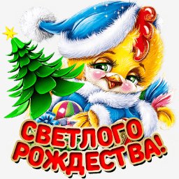 getImage(167)