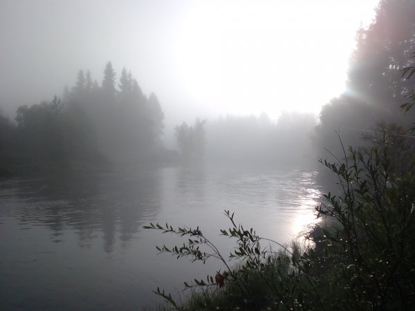 IMG 20210715 063824