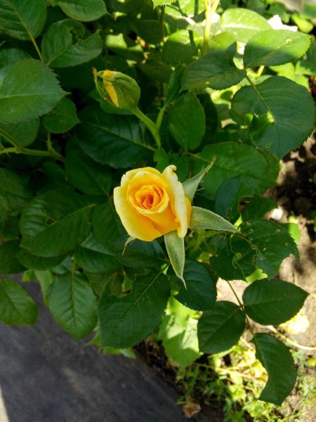 IMG 20140614 150247