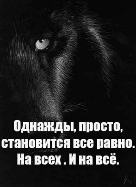 FB IMG 1648467894659