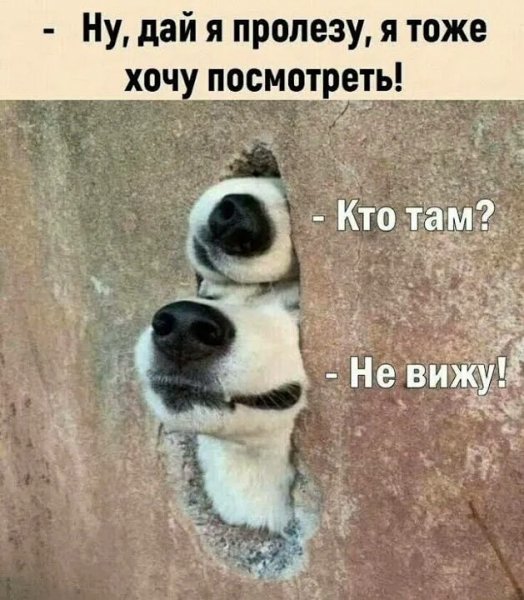 Не вижу!
