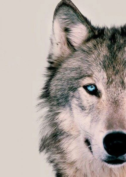 IMG 20161007 231910
