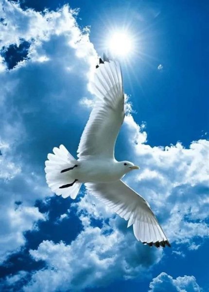 FB IMG 1620325034352