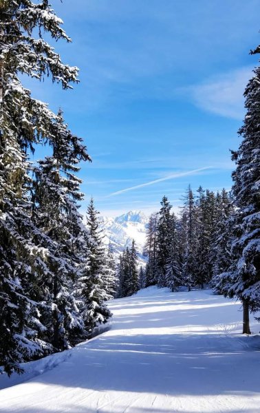 FB IMG 1609705709117