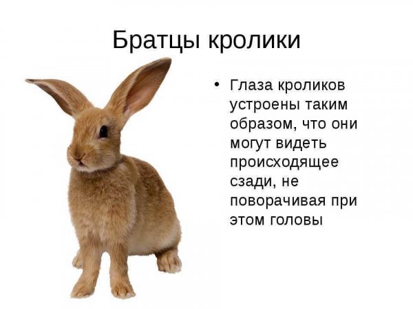 QLPG4zRpJgk