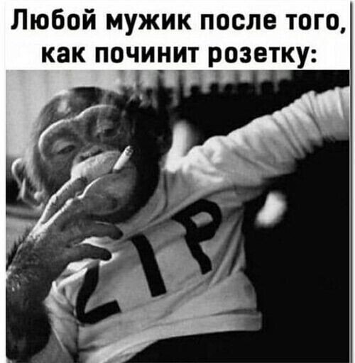 IMG 20230310 131050