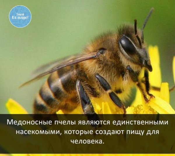OZBmABcmzUg