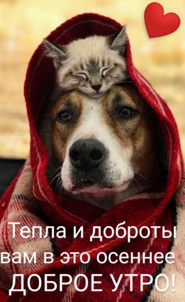 Доброе утро!