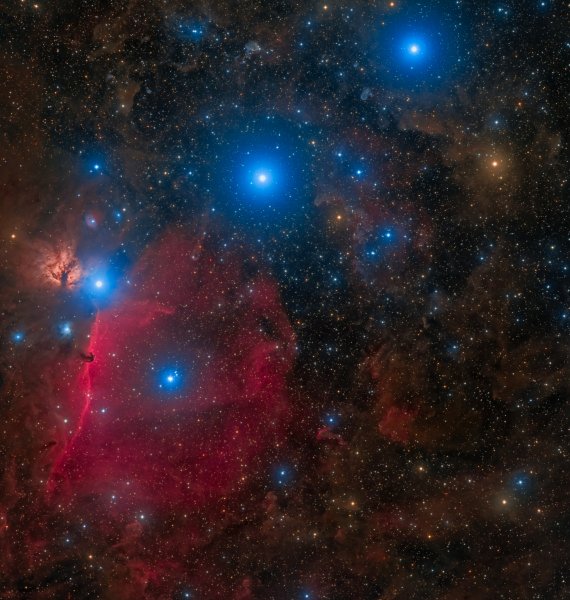 Sp1185788