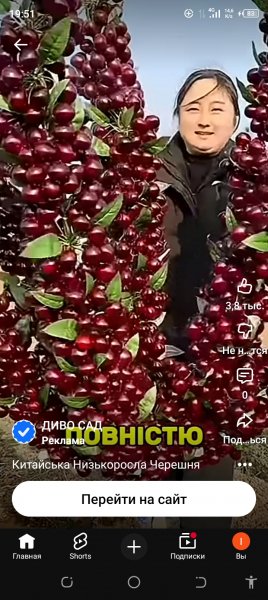 Screenshot 20260409-195101