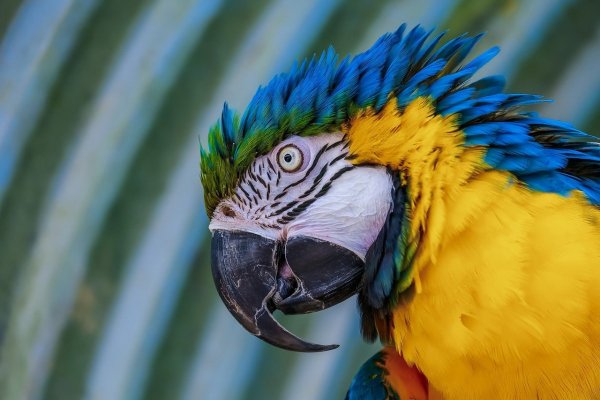 18t0t348Z2S147R91y03