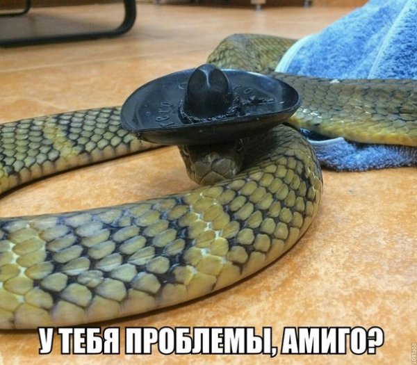Saved Images 2dycwfI-YYM