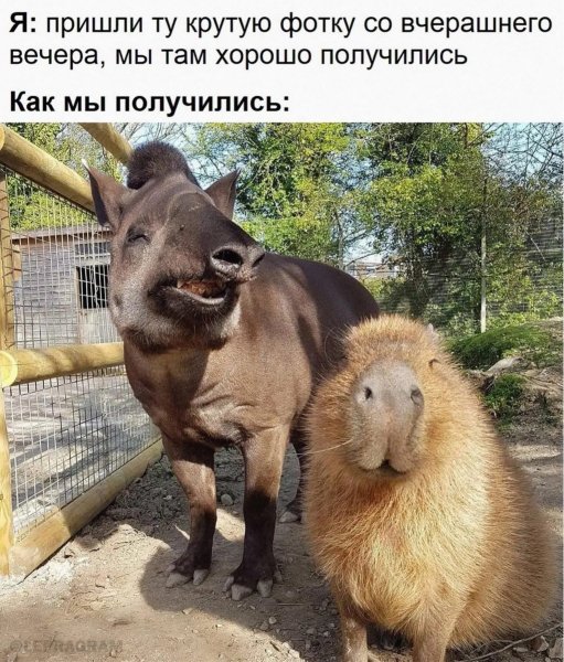 UID2363085 1671152946 9