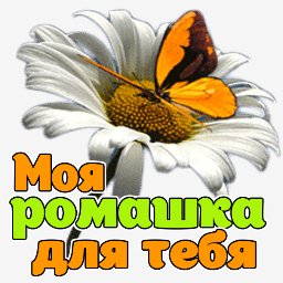 getImage(67)