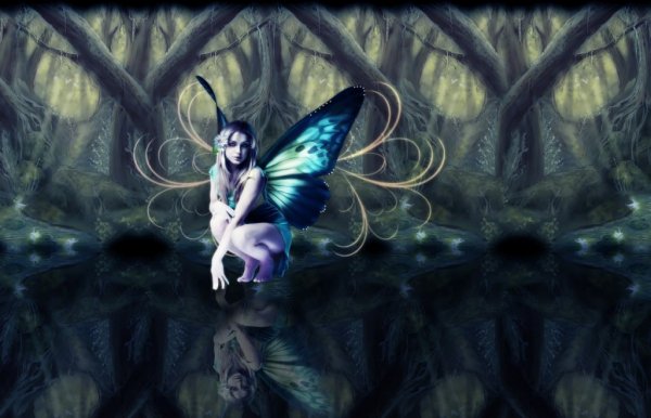 night-fairy1-1024x658