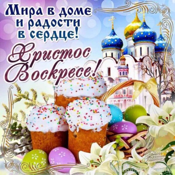 IMG-20200419-WA0020