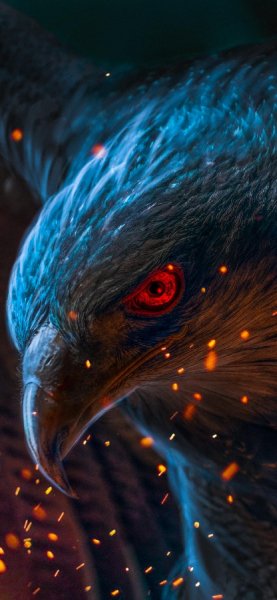 Eagle