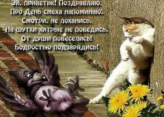 cadca9fa4a255380934a851b50633 240