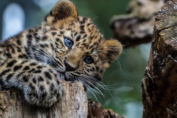 p4HPJY5POw