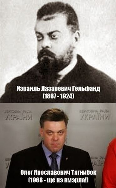 ПредокТягнибока