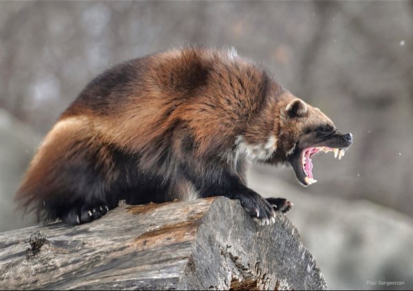 db823b6974053b75e8e8bab76a96