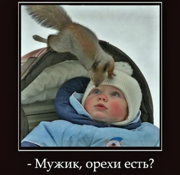 Kogda-tekst-i-kartinki-govorjat-sami-za-sebja-38