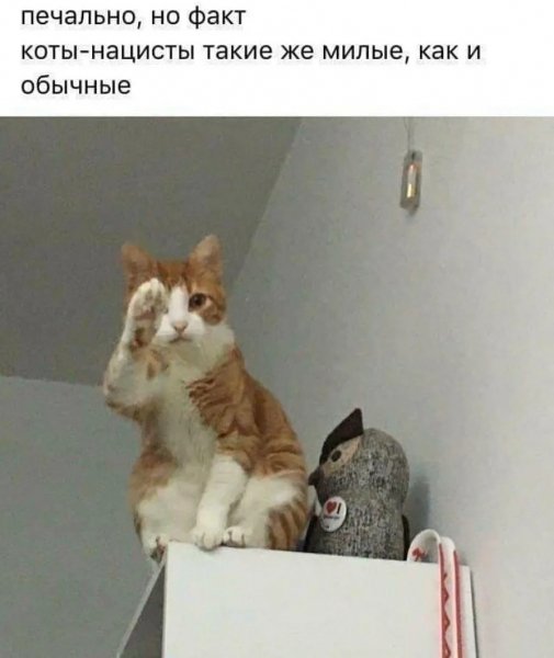 А то!!! )))