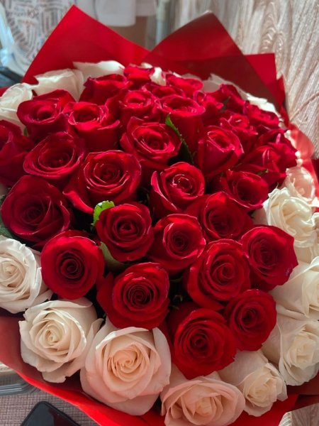 7cfee3df8cece40d06882aaba12aa537