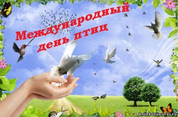 getImage3223