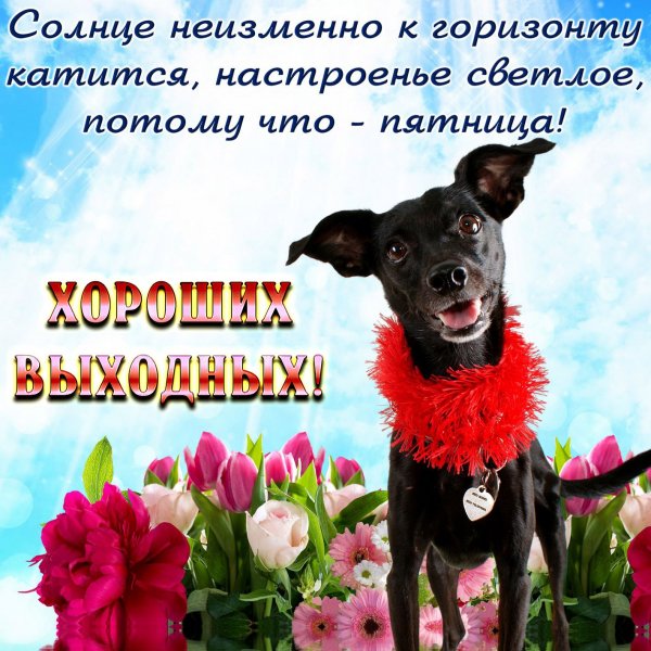 Да! ))