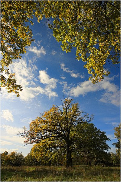 Красота этого дня