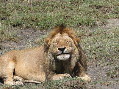 1-ulybochku-images-big 15