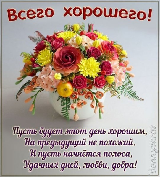 Друзья мои!