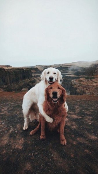 dba6c72484bbae21e37095f65a78