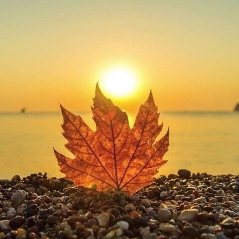 Золотыми нитями заката, Вышивает вечер красоту...