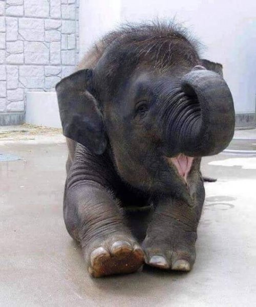 FB IMG 1617914976841