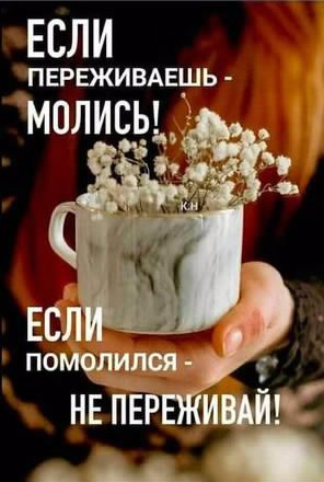 molis...-