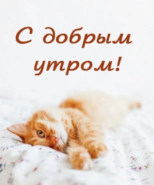 Всех вас!