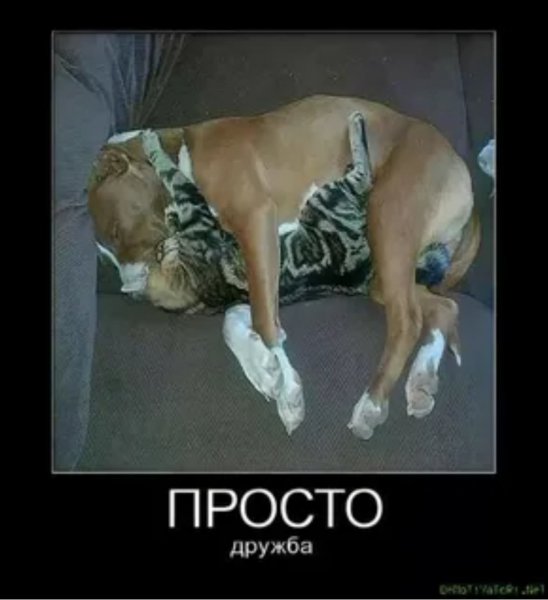 Просто дружба