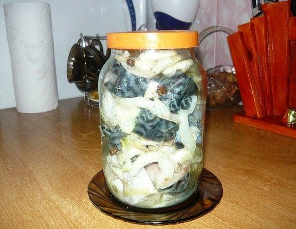 МАРИНОВАННАЯ СКУМБРИЯ