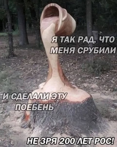 picture_374917758